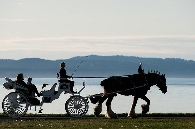 Salish Sea Horse-Drawn Carriage Tour of Victoria - Olympic views and the Olympic National Park angle