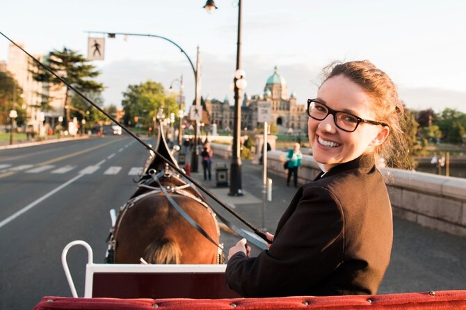 Salish Sea Horse-Drawn Carriage Tour of Victoria - Comfort kit: warm faux-fur blankets, convertible roof, and lantern glow
