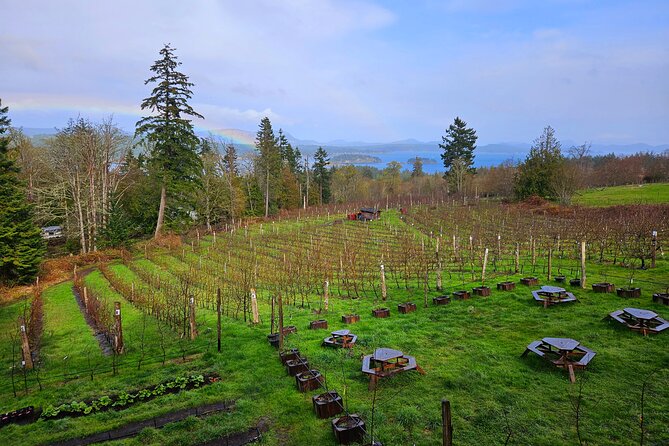 Salt Spring Island "Artisan Trail" Hop On Hop Off Tour! - Ciderworks and Organic Orchards With a Real Apple Story