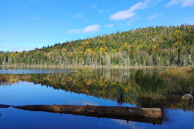Scenic Hiking Adventure at Mont-Orford National Park - Le Mont-Chauve Delivers Big Views for Moderate Effort