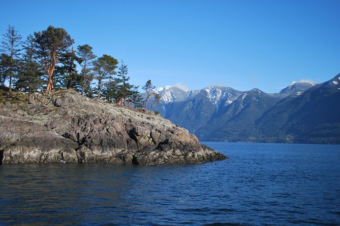 Scuba Dive Boat Charter in Vancouver (Certified Divers Only!) - What your five hours look like on the water