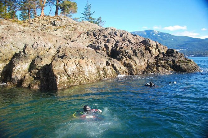 Scuba Dive Boat Charter in Vancouver (Certified Divers Only!) - The underwater world you’ll actually see: reef structure and local critters