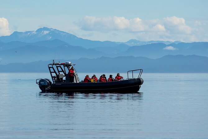 Sea Otter and Whale Watching Tour on Northern Vancouver Island - Weather and the 5.5-6 hour reality check