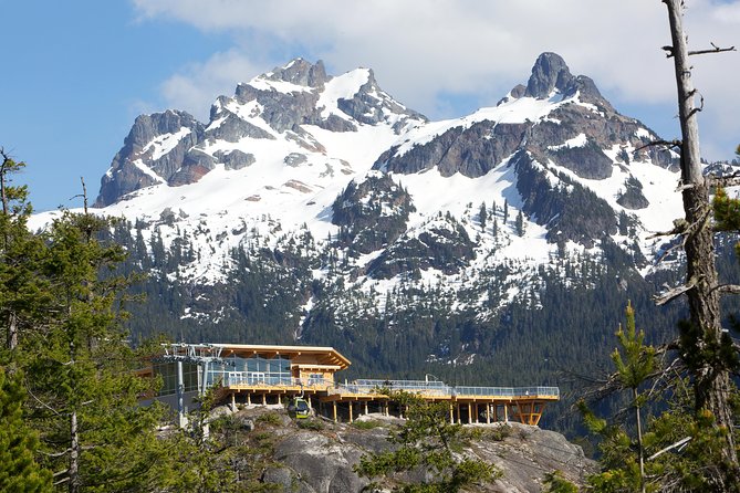 Sea to Sky Gondola Ticket - Start at basecamp: cafés, kids space, and getting oriented fast