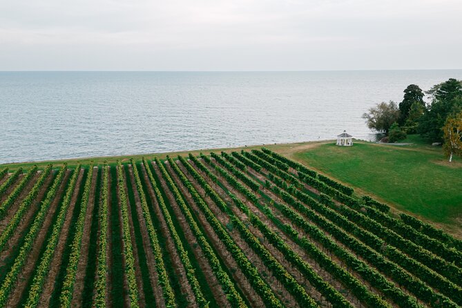 Seated Tasting Experience at Konzelmann Winery - Picking your three VQA wines, including peach and light Riesling styles