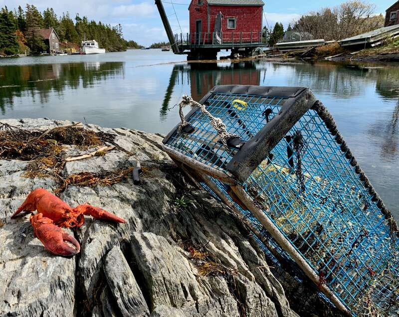 Seaweed Tours Lunenburg N.S Can UNESCO world heritage site. - Key Things That Make Seaweed Tours Lunenburg Worth Your Time