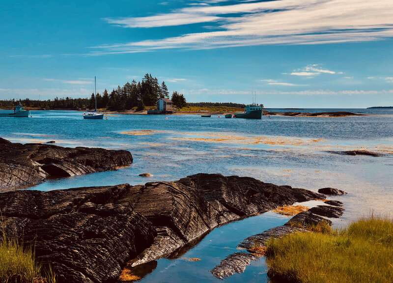 Seaweed Tours Lunenburg N.S Can UNESCO world heritage site. - UNESCO stops in Lunenburg: what the guide helps you notice