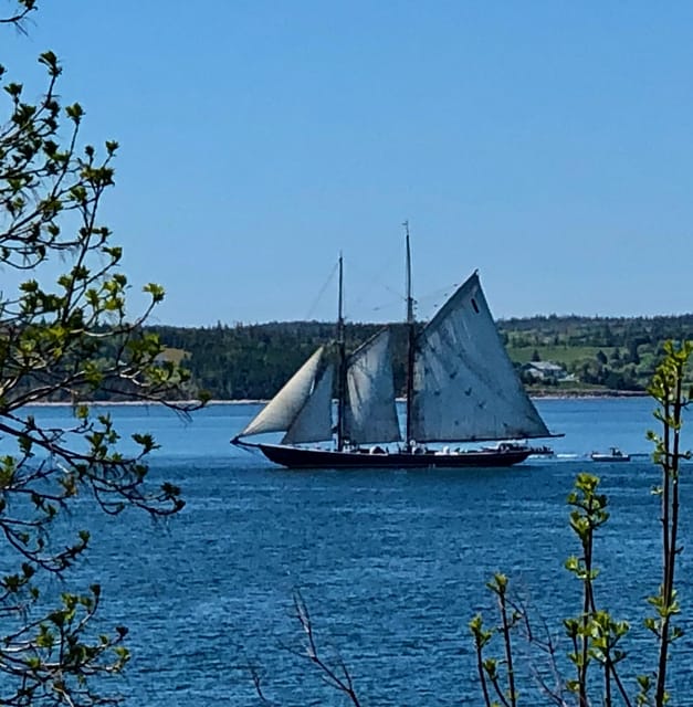Seaweed Tours Lunenburg N.S Can UNESCO world heritage site. - Lunenburg County’s rugged shores and fishing villages