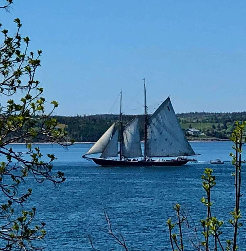 Seaweed Tours Lunenburg N.S Can UNESCO world heritage site. - The story behind the scenery: local guides and Nancy’s style