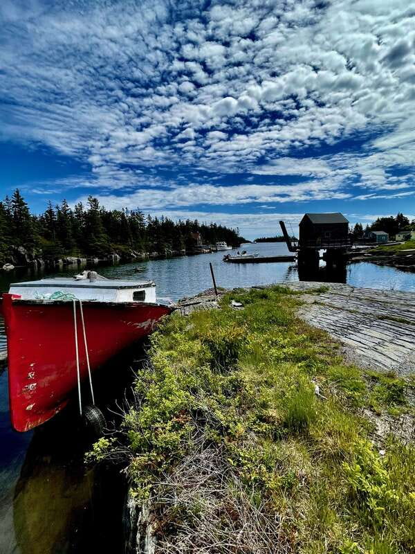 Seaweed Tours Lunenburg N.S Can UNESCO world heritage site. - What a 2-hour outing actually feels like