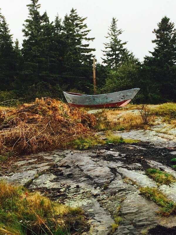 Seaweed Tours Lunenburg N.S Can UNESCO world heritage site. - Who should book this tour?
