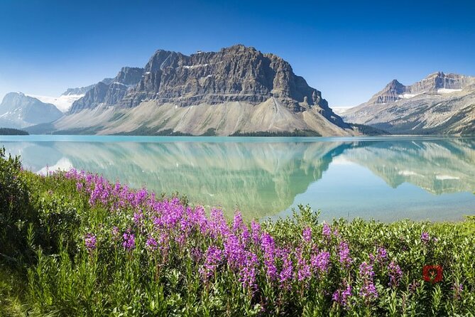 Self-Guided Audio Driving Tour in Icefields Parkway - Should you book this Icefields Parkway audio driving tour?