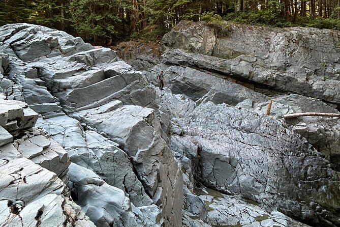 Shannon fall, Quercus Point and Squamish city Private tour - Stop 4: Porteau Cove Provincial Park pier walk at Howe Sound