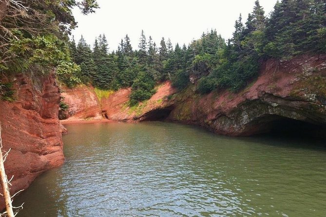 Shore Tours - Bay of Fundy Stop: Sea Caves, Lighthouse Area, Covered Bridges, Trails