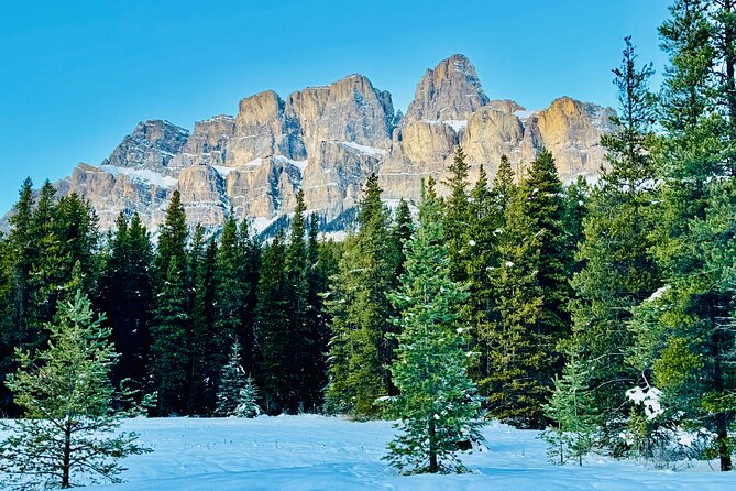 ShuttleBus 2way Banff to Lake Louise (1Hr) and Moraine Lake (1Hr) - If Moraine Lake is closed: the tour’s Plan B you should be ready for
