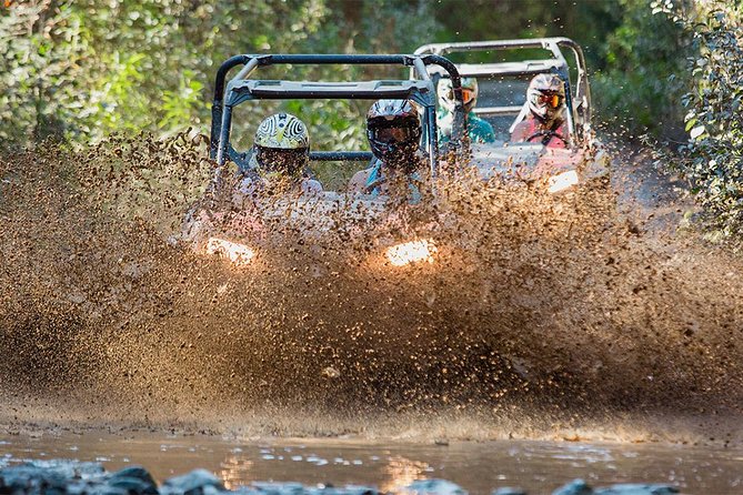 Side-by-Side Off-Roading Adventures on Cougar Mountain - Choosing Between Novice and Intermediate: Match the Pace to Your Comfort