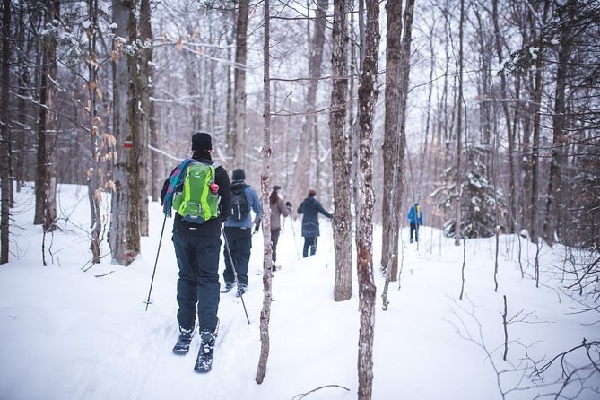 Skiing (Hok Ski) Excursion in Jacques-Cartier National Park - Key Ski-Hok takeaways for Quebec City visitors