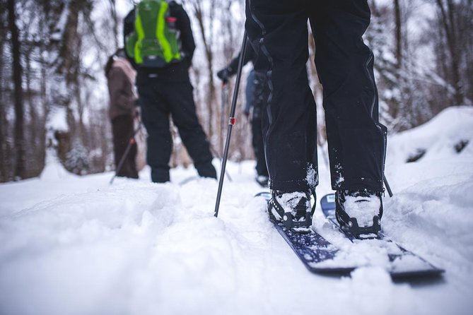 Skiing (Hok Ski) Excursion in Jacques-Cartier National Park - Ski-Hok in Jacques-Cartier, the part you’ll actually remember