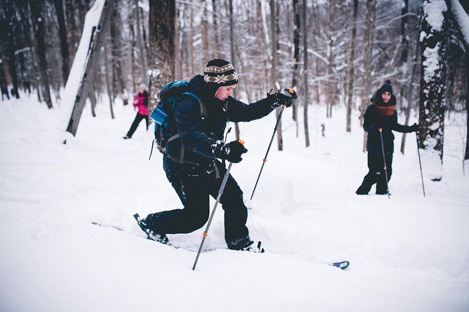 Skiing (Hok Ski) Excursion in Jacques-Cartier National Park - Weather, snow depth, and what to plan for