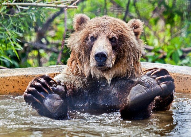 Skip the Line: Kamloops BC Wildlife Park Admission Ticket - Key Highlights Before You Go