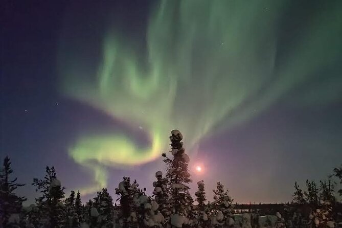 Skydome Aurora Viewing - Why the Skydome Setup Helps You Actually See the Lights