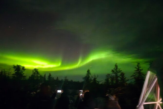 Skydome Aurora Viewing - Group Size, Timing, and What the Evening Schedule Means