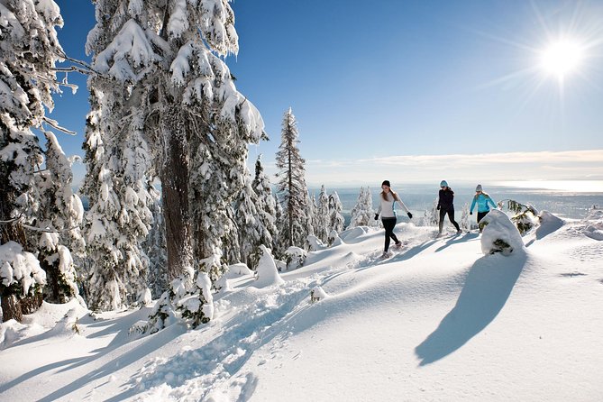 Small Group Tour: Capilano Suspension Bridge and Grouse Mountain from Vancouver - The time-saving genius of pairing Capilano and Grouse