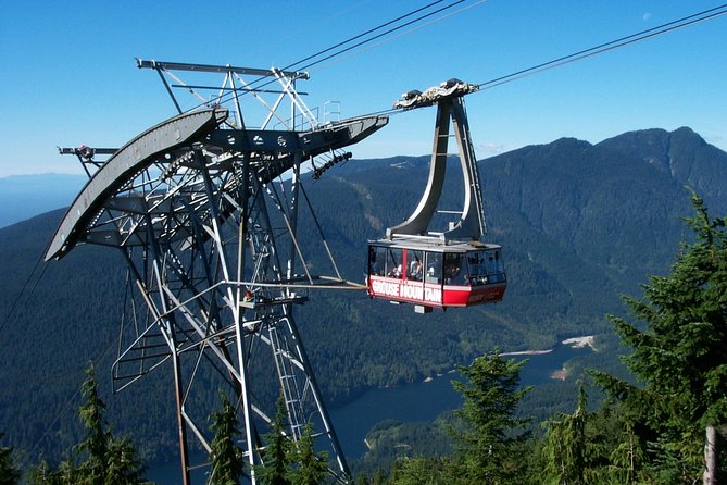 Small Group Tour: Capilano Suspension Bridge and Grouse Mountain from Vancouver - Grouse Mountain in about 2 hours: gondola views and real wildlife time