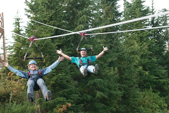 Small Group Tour: Capilano Suspension Bridge and Grouse Mountain from Vancouver - What you’ll actually do at each stop, step-by-step