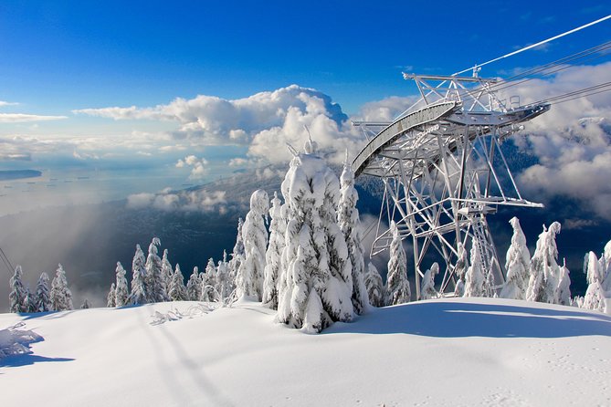 Small Group Tour: Capilano Suspension Bridge and Grouse Mountain from Vancouver - Downtown pickup, Stanley Park drive, and the Lion’s Gate Bridge