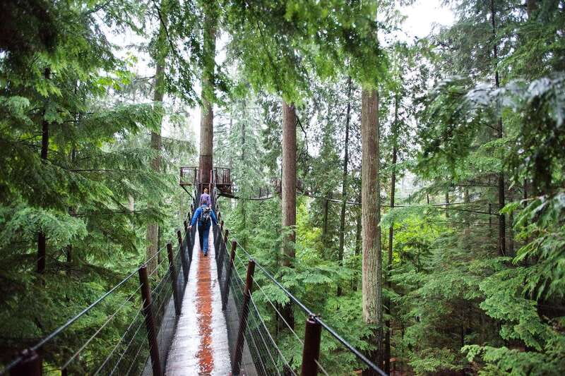 Small group tour of Capilano Bridge & Grouse Mountain - Why This 5-Hour Capilano and Grouse Combo Works So Well