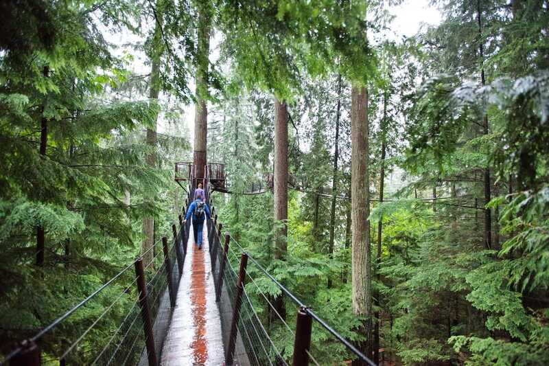 Small group tour of Capilano Bridge & Grouse Mountain - Small-Group and Private Options: Why It Matters in Real Life