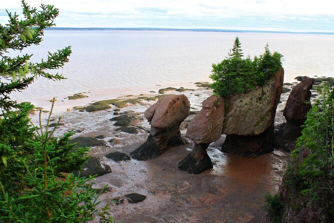 Small Group Tour - Peggy's Cove, Lunenburg, the Annapolis Valley - A day trip that goes beyond the Halifax postcard