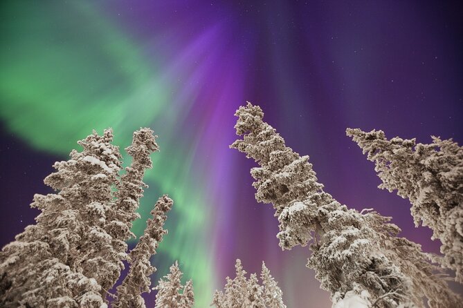 Small Group Yukon Aurora Viewing - Whitehorse Aurora Viewing, but with the crowds turned down