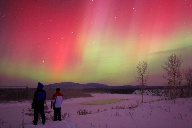 Small Group Yukon Aurora Viewing - Price and value: what $134.13 buys you in the real Yukon world