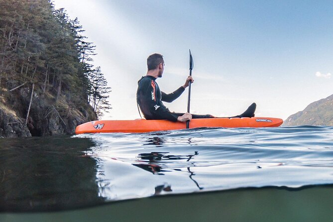 Snorkel, Kayak, and Seal Adventure: Vancouver Boat Tour - Snorkeling with included gear: wetsuit warmth and staying comfortable