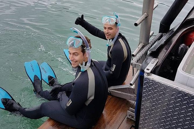 Snorkel, Kayak, and Seal Adventure: Vancouver Boat Tour - Price and value: $105.10 for a half-day that includes gear and staff