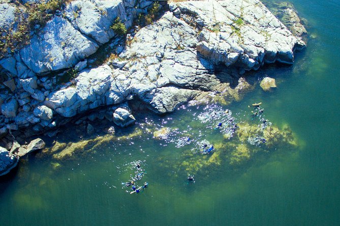 Snorkel, Kayak, and Seal Adventure: Vancouver Boat Tour - The flow on the water: boat cruising, seal colonies, and switching modes