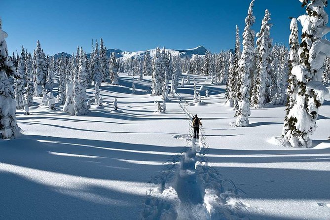 Snowshoe Through Vancouver's Winter Wonderland - Key things I’d mark on your Vancouver winter snowshoe checklist
