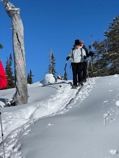 Snowshoeing At The Top Of The Sea To Sky Gondola - Small group, big value: why the limit helps