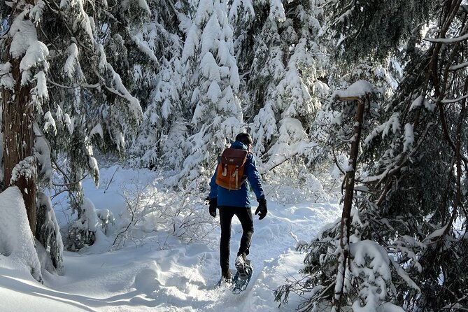 Snowshoeing at The Top of The Sea to Sky Gondola - Snowshoeing trails: gear, traction, and pacing for winter reality