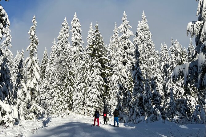 Snowshoeing at The Top of The Sea to Sky Gondola - Price and value: what $138.20 gets you in the real world