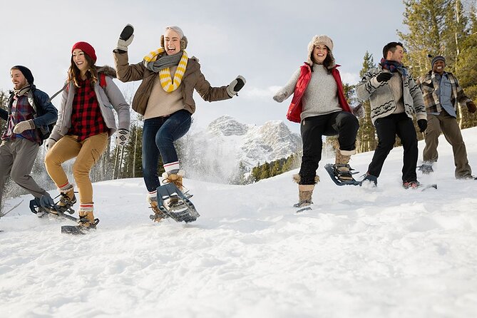 Snowshoeing in Kananaskis - The walk itself: slow steps, quiet forests, and winter survival lessons