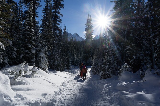 Snowshoeing in Kananaskis - Itinerary flow you should expect, step by step