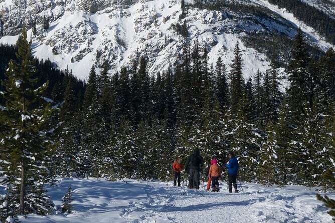 Snowshoeing in Kananaskis - Who should book, and who should think twice