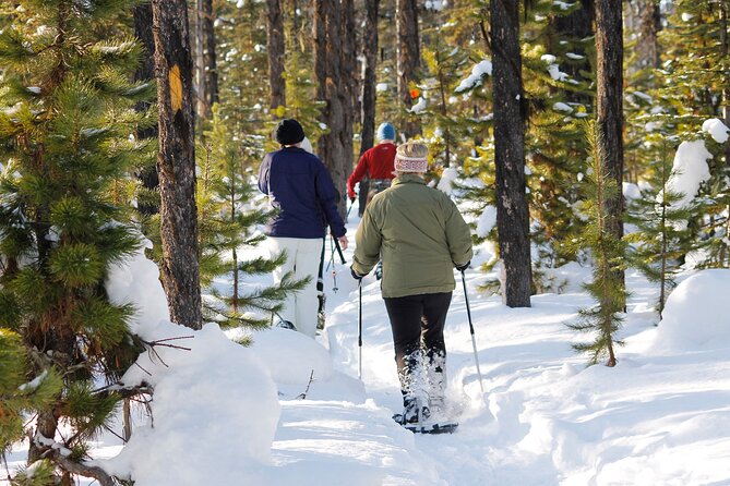 Snowshoeing In Vancouver's Winter Wonderland - The Scenic Ride, Stanley Park, and Lions Gate Views
