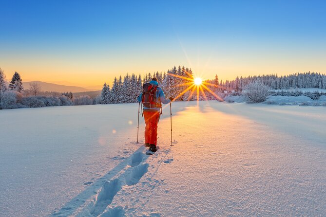 Snowshoeing In Vancouver's Winter Wonderland - Pacing, the Lodge Break, and What a 4-Hour Tour Really Means