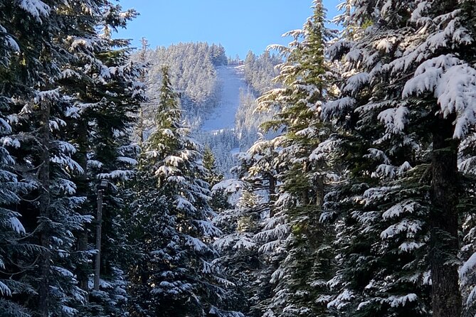 Snowshoeing In Vancouver's Winter Wonderland - Small Group Guidance with Adrian and a Super Practical Guide