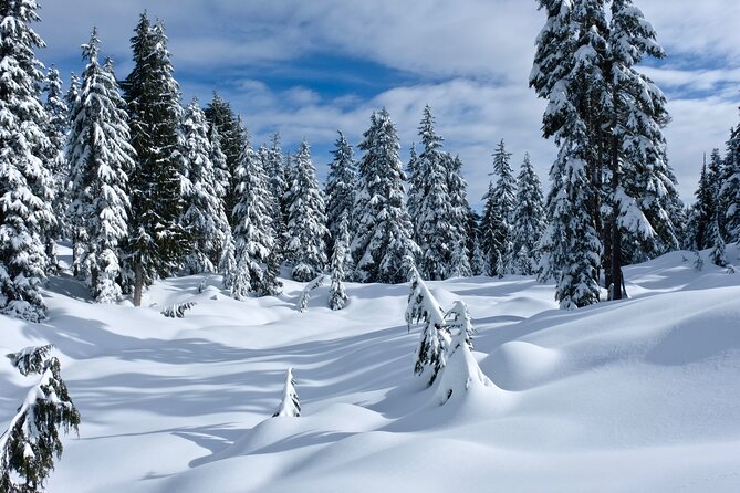 Snowshoeing In Vancouver's Winter Wonderland - Price and Value for $119.72 in the North Shore Mountains