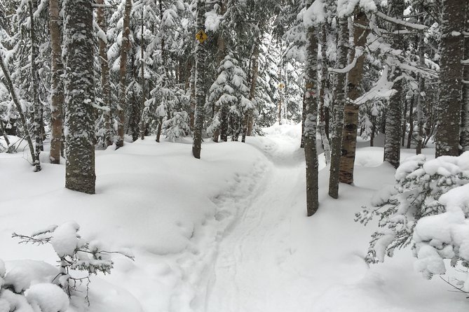 Snowshoeing Tour in Jacques-Cartier National Park - From snowshoes to a heated tipi lunch